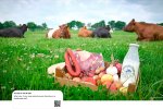 Billboards 190x117cm Future of animals 230912-5.jpg